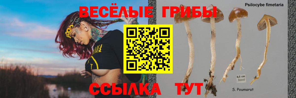 как найти закладки  Псилоцибиновые грибы Psilocybine cubensis  Вход с VPN  Галлюциногенные грибы Magic Shrooms  Сальск 